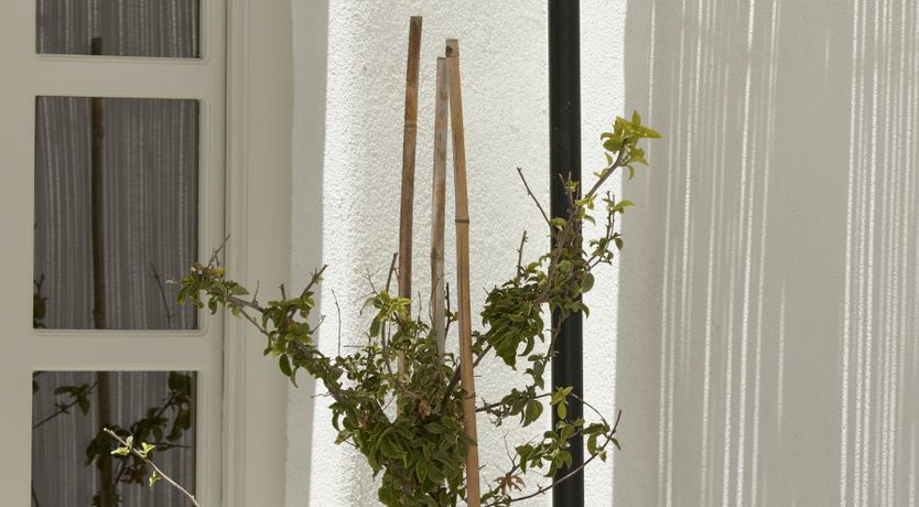 Photo of Rimini in Therassia