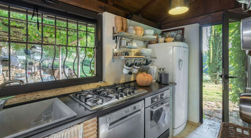 Photo of Blue Sky Vines