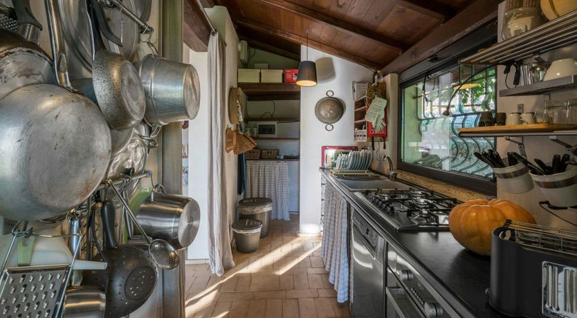 Photo of Blue Sky Vines