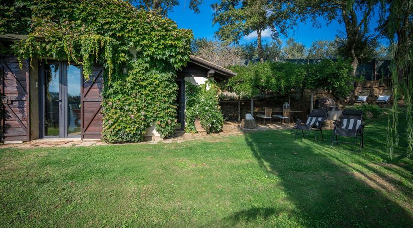 Photo of Blue Sky Vines