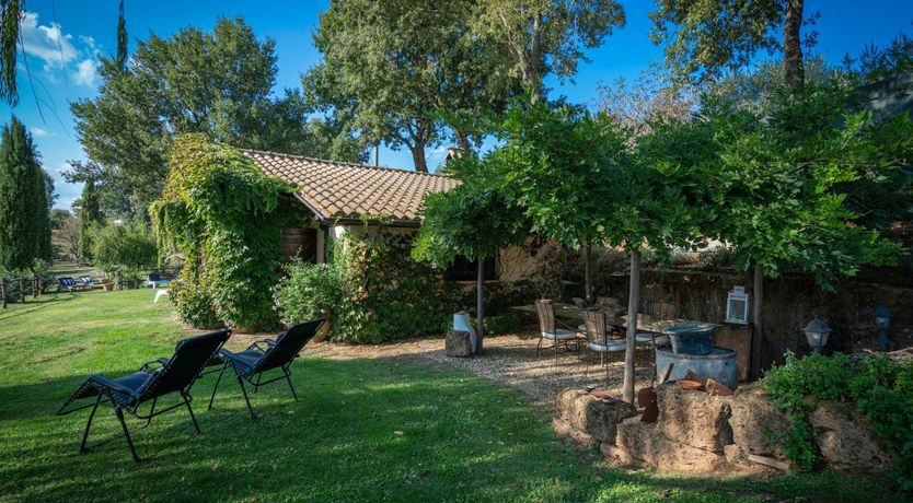 Photo of Blue Sky Vines