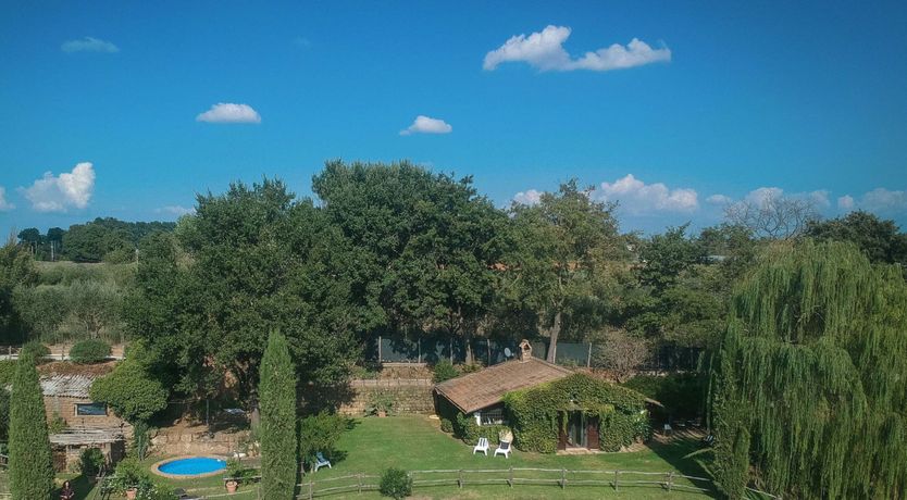 Photo of Blue Sky Vines