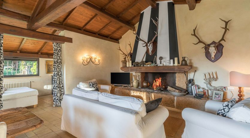 Photo of Blue Sky Vines