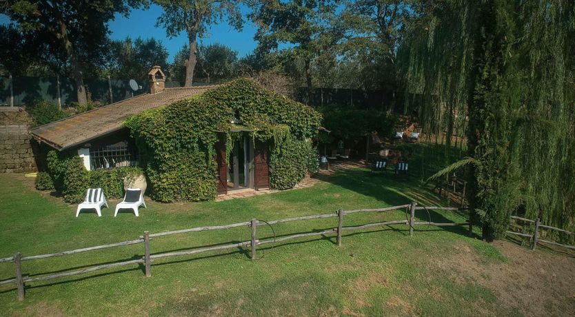 Photo of Blue Sky Vines