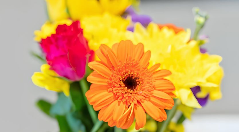 Photo of The Glittering Rose