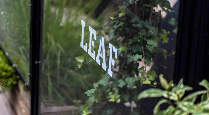 Photo of Bold, Hope & Duke