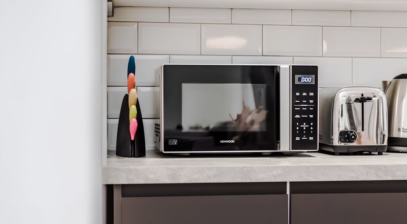 Photo of Bold, Hope & Duke