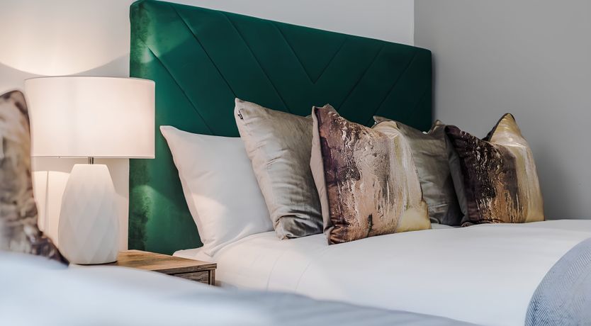 Photo of Bold, Hope & Duke