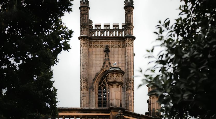 Photo of Bold, Hope & Duke