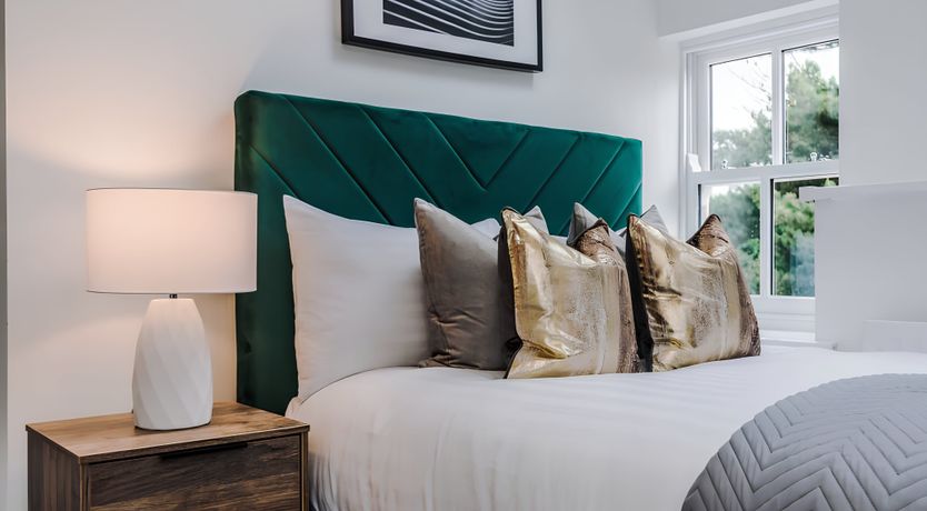 Photo of Bold, Hope & Duke