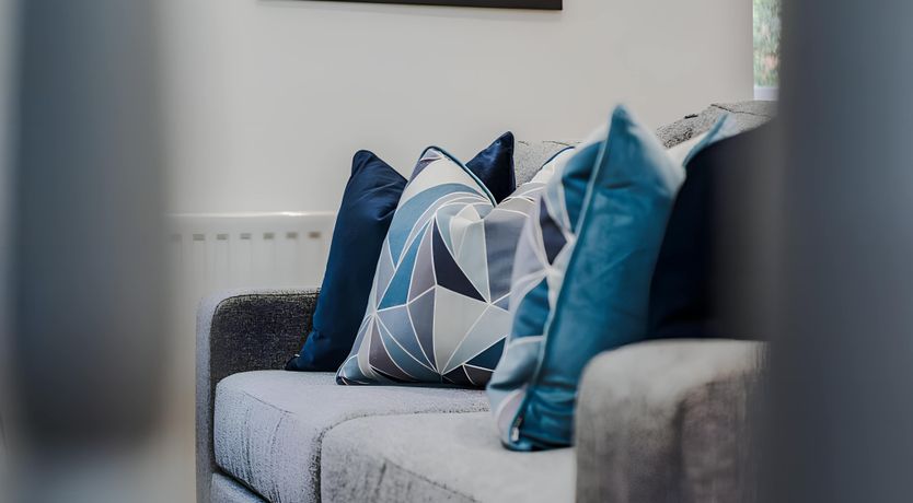 Photo of Bold, Hope & Duke