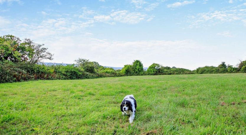Photo of 1 Bed in Taunton