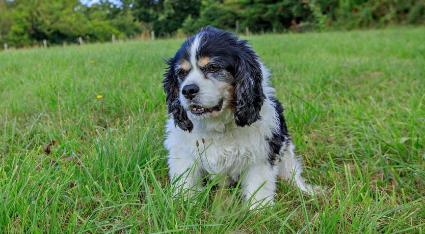 Photo of 1 Bed in Taunton
