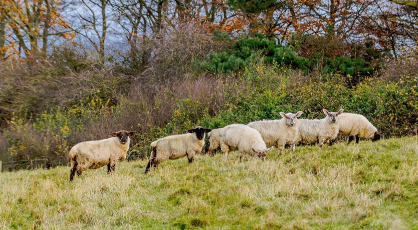 Photo of 2 Bed in Mattersey