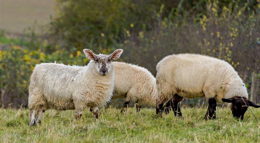 Photo of 2 Bed in Mattersey