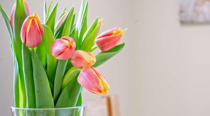 Photo of 4 Bed in Matlock