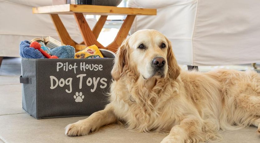 Photo of 5 Bed in Polruan