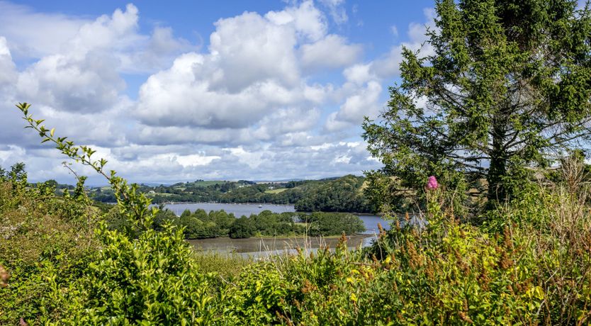 Photo of Mellow Mill Creek