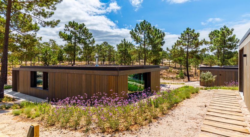 Photo of Way of Beauty