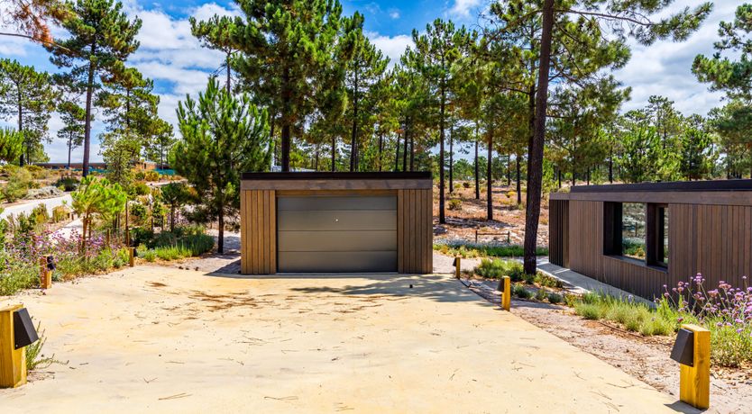 Photo of Way of Beauty