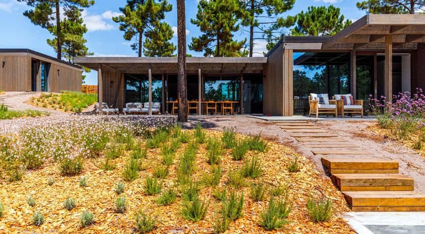 Photo of Way of Beauty