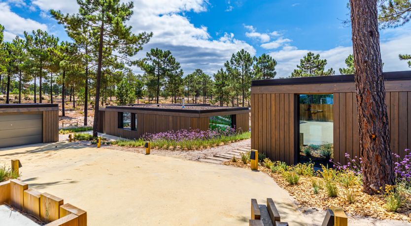 Photo of Way of Beauty