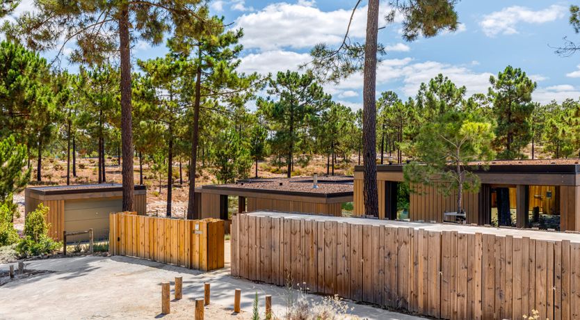 Photo of Way of Beauty