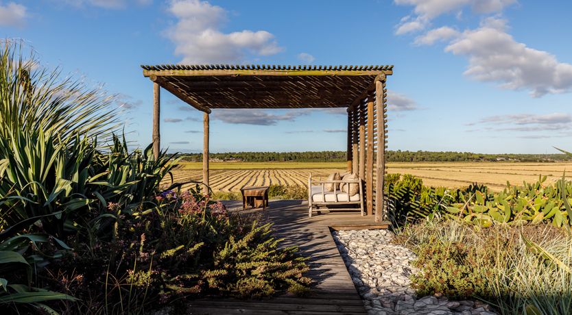 Photo of A Glance of Beauty