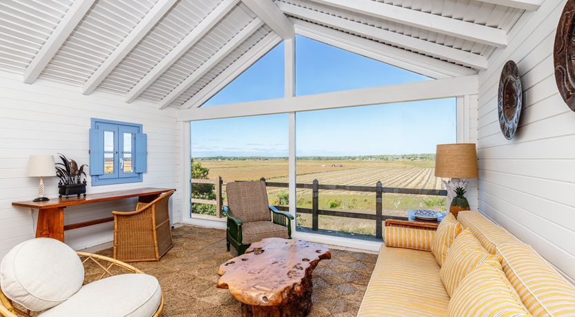 Photo of A Glance of Beauty