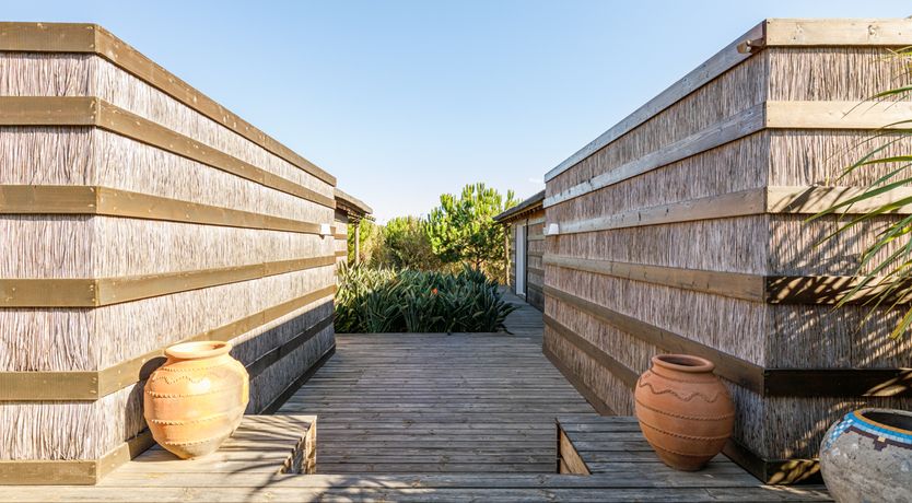 Photo of A Glance of Beauty