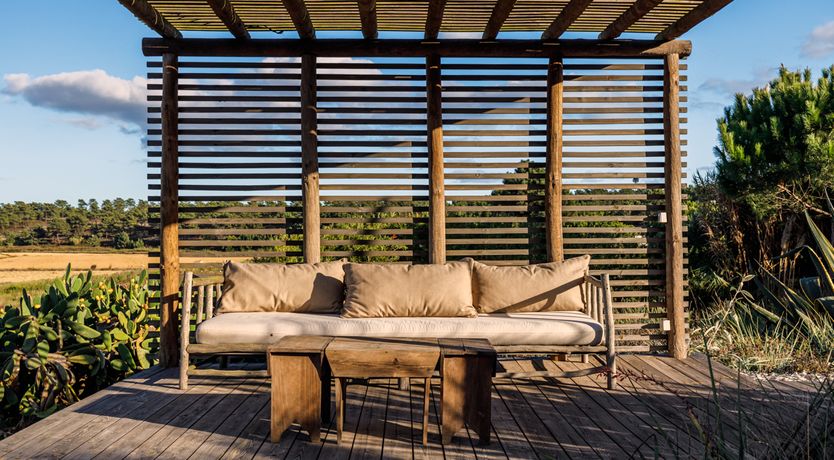 Photo of A Glance of Beauty