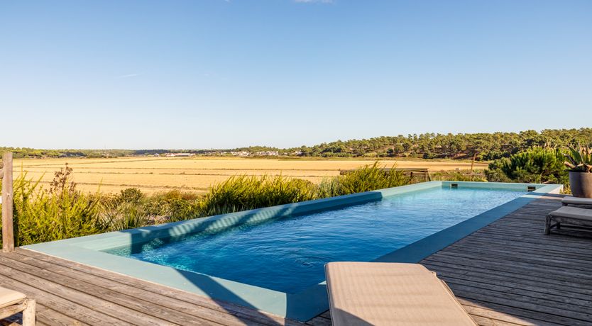 Photo of A Glance of Beauty