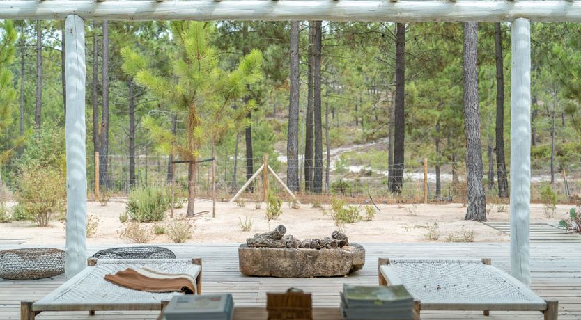 Photo of The Summer Breeze