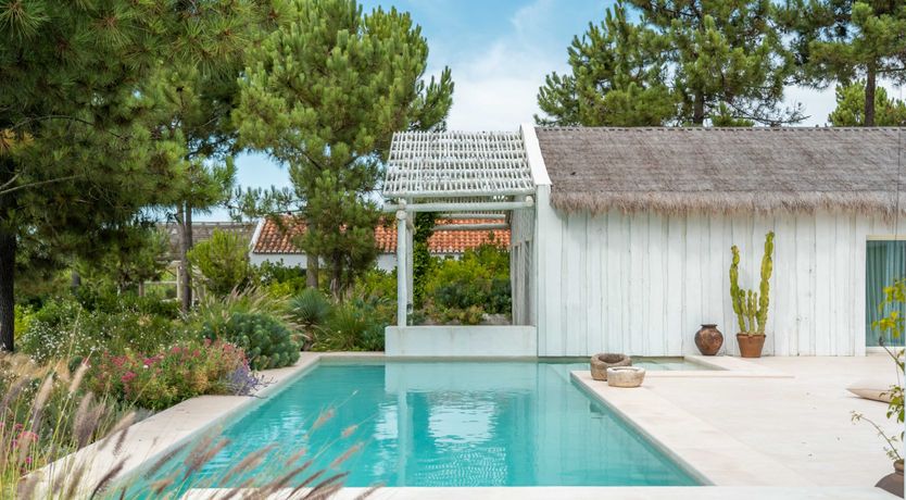 Photo of The Summer Breeze