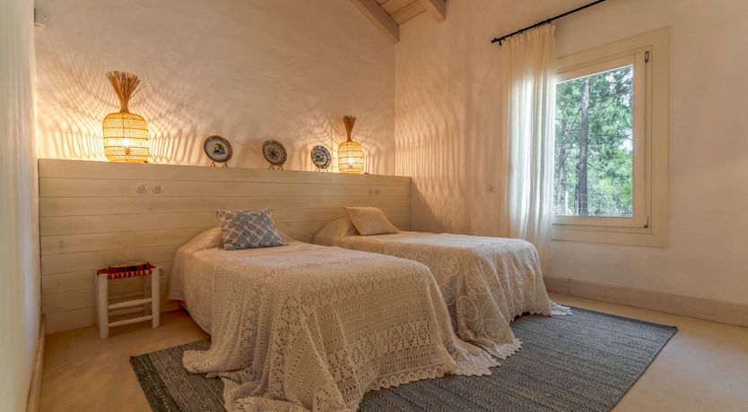 Photo of The Summer Breeze