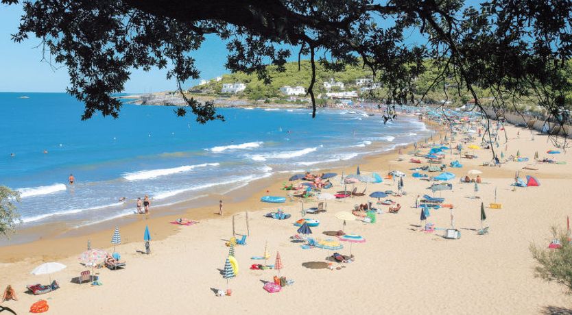 Photo of Internazionale Manacore