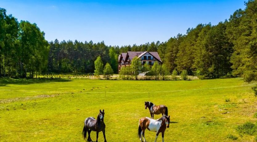 Photo of Zapach Lasu - Naturalne Spa