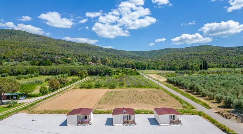 Photo of I Girasoli Apartment 2