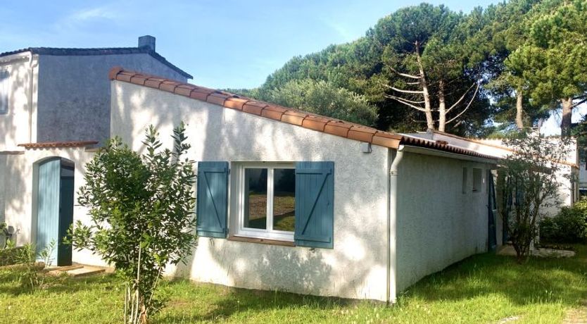 Photo of Les Trémières