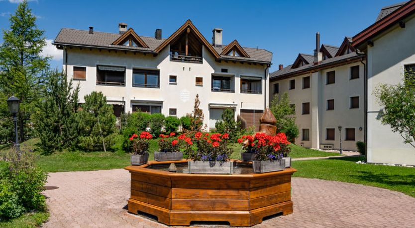 Photo of Chesa Narcissa F4