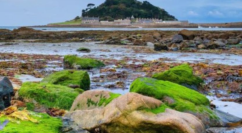 Photo of Hot Tub Lodge 1