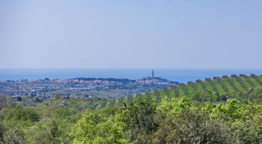 Photo of Villa Selagodi