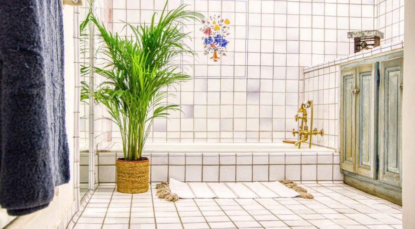 Photo of Chez Canard