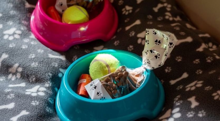 Photo of Seaside House