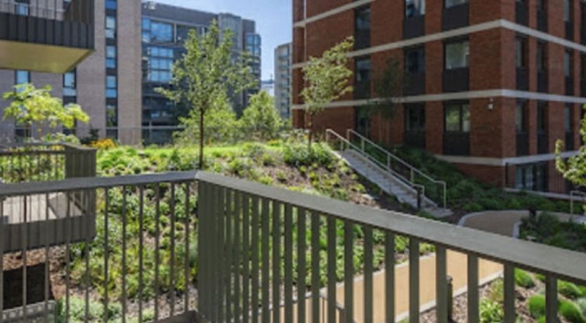 Photo of Wembley Park Views