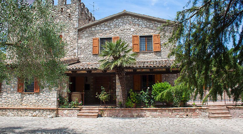 Photo of Olivo secolare