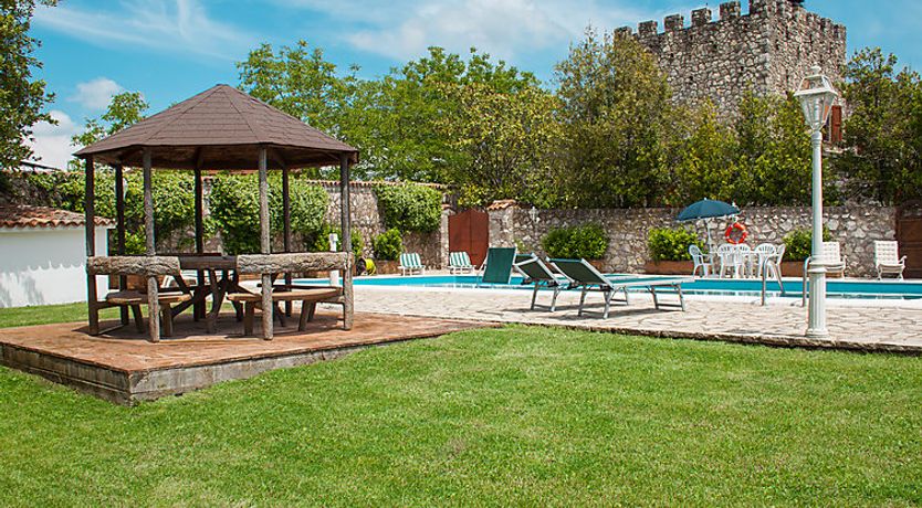 Photo of Olivo secolare