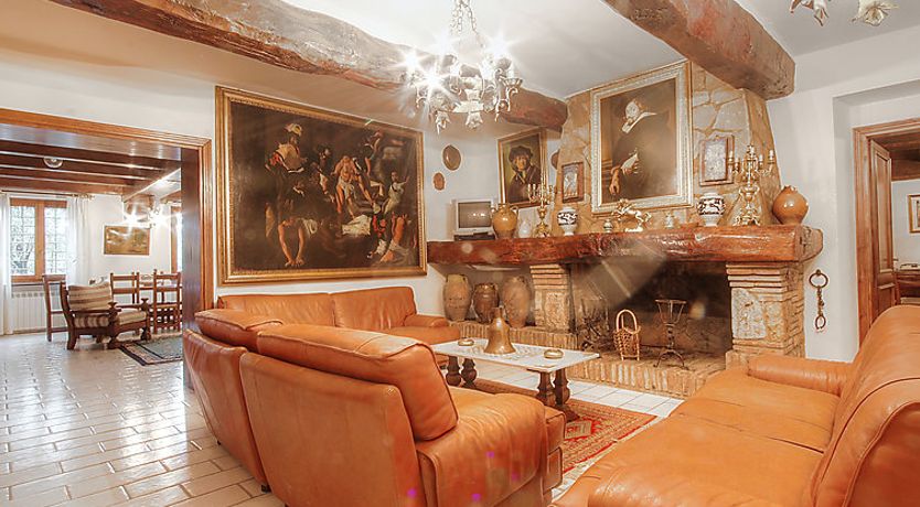 Photo of Olivo secolare