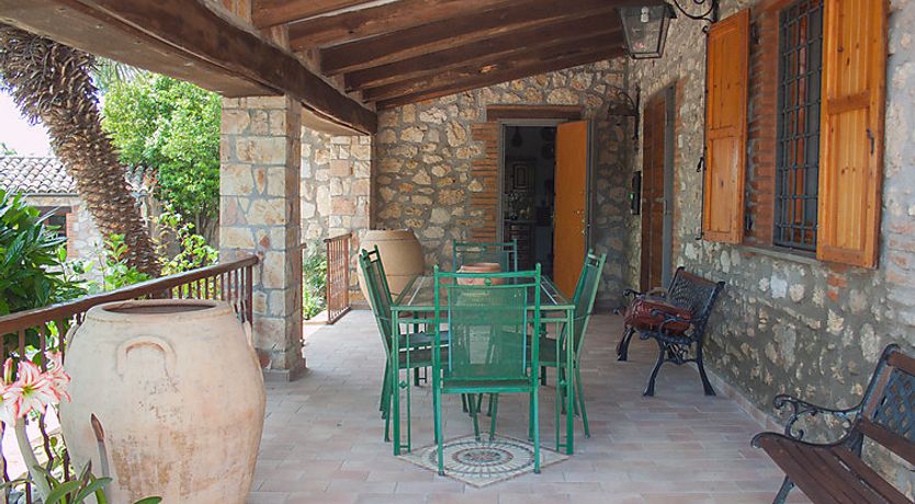 Photo of Olivo secolare