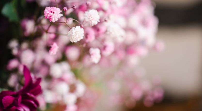 Photo of Old Stables